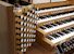 Organ of the Week