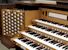 Organ of the Week