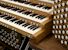 Organ of the Week