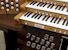 Organ of the Week