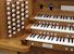 Organ of the Week