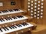 Organ of the Week