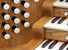 Organ of the Week