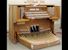 Organ of the Week
