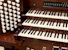 Organ of the Week