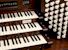 Organ of the Week