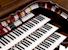Organ of the Week