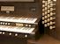 Organ of the Week
