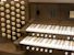 Organ of the Week
