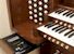 Organ of the Week
