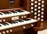 Organ of the Week