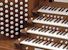 Organ of the Week