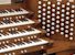 Organ of the Week