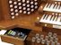 Organ of the Week