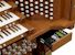Organ of the Week