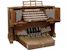 Organ of the Week