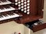 Organ of the Week