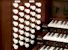 Organ of the Week