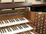 Organ of the Week