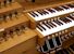 Organ of the Week
