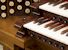 Organ of the Week