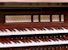 Organ of the Week