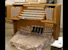 Organ of the Week