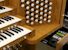 Organ of the Week