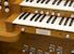 Organ of the Week