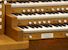 Organ of the Week