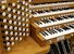 Organ of the Week