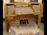 Organ of the Week