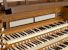 Organ of the Week