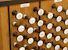 Organ of the Week