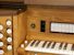 Organ of the Week