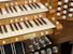 Organ of the Week