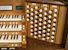 Organ of the Week