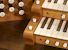 Organ of the Week