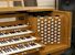 Organ of the Week