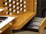 Organ of the Week