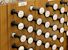 Organ of the Week