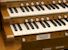 Organ of the Week