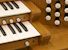 Organ of the Week