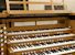 Organ of the Week