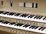 Organ of the Week