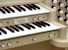 Organ of the Week