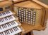 Organ of the Week