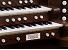 Organ of the Week