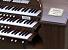 Organ of the Week