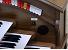 Organ of the Week